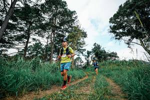 BIB: 
                            <button type="button" onclick="openModal(26038297)" class="btn btn-primary btn-sm float-right btn-popup" data-toggle="modal" data-target=".modal-high-quality">
                        <i class="fas fa-shopping-cart"></i> Add to Cart
                    </button>
                                            <button type="button" onclick="isThisMe(26038297, true)" class="btn btn-success btn-sm float-right btn-popup btn-isme hidden" data-toggle="tooltip" data-placement="bottom" title="นี่คือรูปของคุณใช่ไหม คลิกที่นี่เพื่อเอาเข้าอัลบั้ม">
                        <i class="fas fa-plus"></i> Add to album
                    </button>
                    <button type="button" onclick="isThisMe(26038297, false)" class="btn btn-warning btn-sm float-right btn-popup btn-isnotme hidden">
                        <i class="fas fa-ban"></i> Remove from album
                    </button>